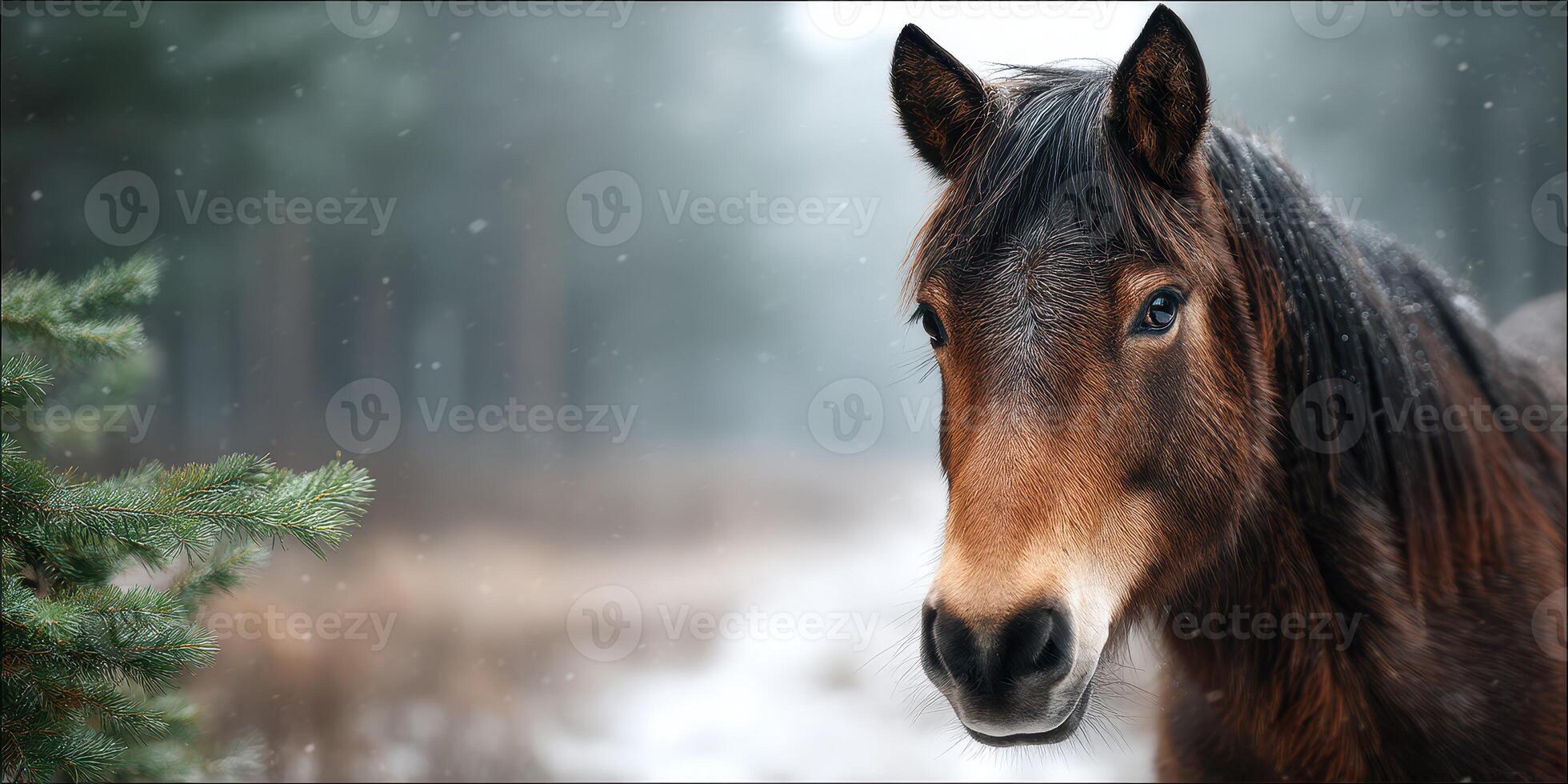 Majestic horse standing gracefully in a snowy forest setting during winter photo