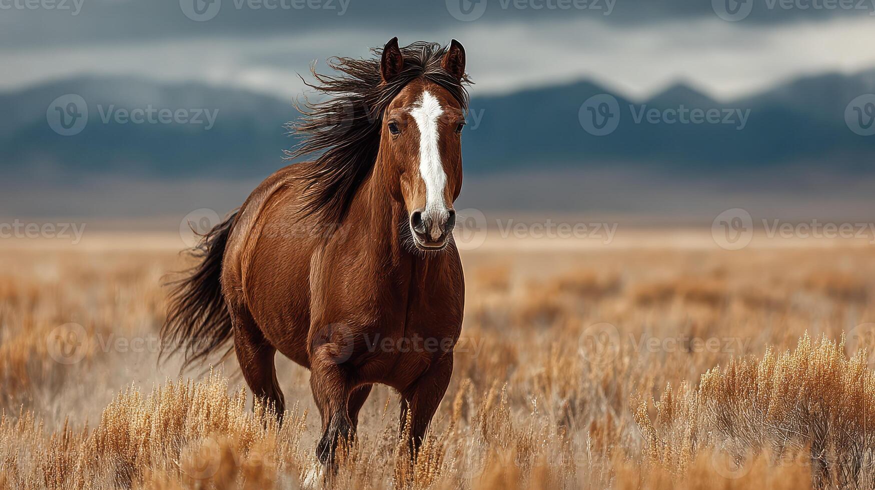 Wild horse galloping through golden grassland under dramatic cloudy sky photo