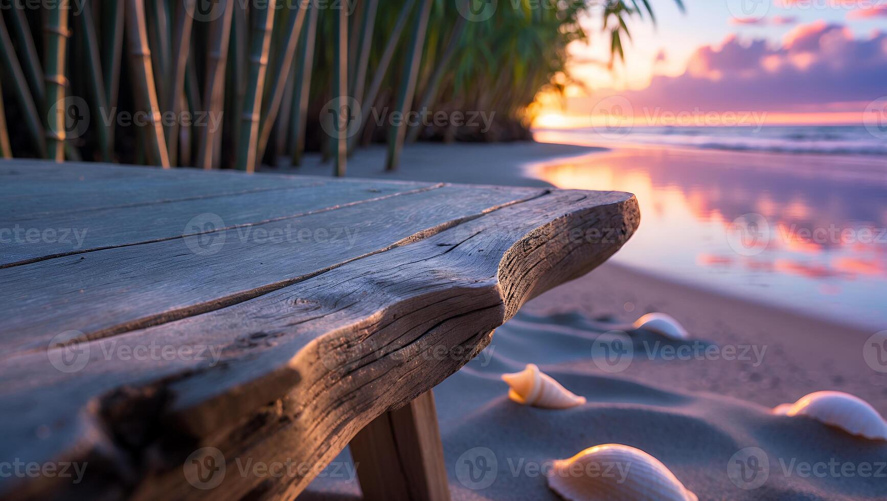 Wooden Bench on Beach with Seashells at Sunset Tranquil Scene photo