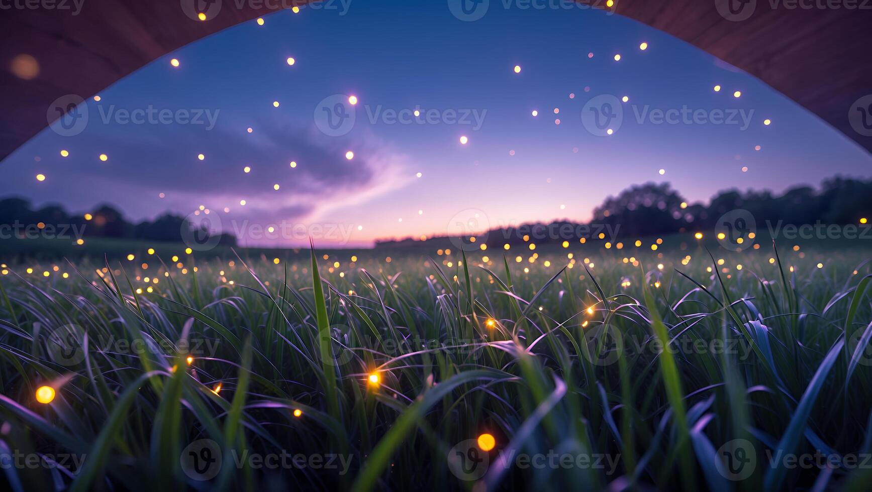 Fireflies Glowing in Grassy Field at Dusk with Twilight Sky photo