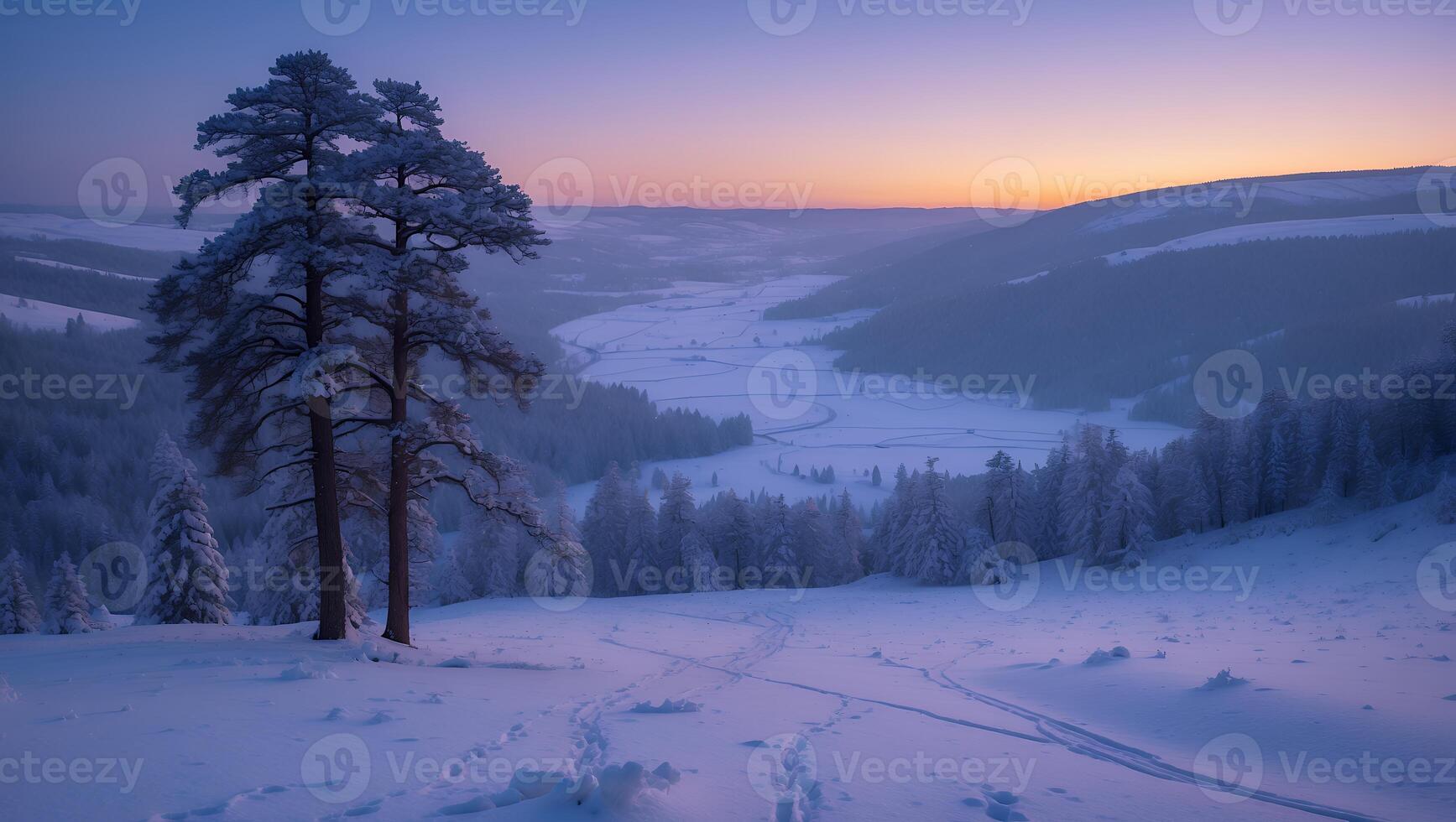 Snowy Hillside with Trees at Sunset Overlooking a Wintry Valley photo
