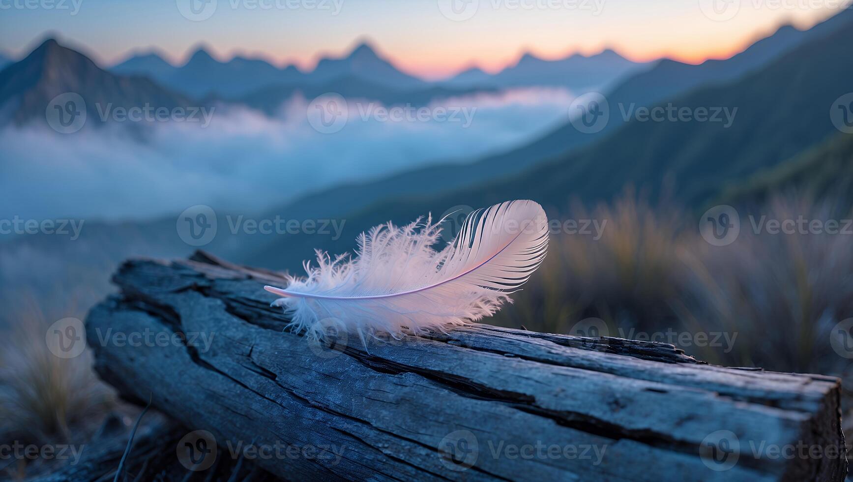 Delicate Feather Resting on Log with Mountain Landscape Background at Dusk photo