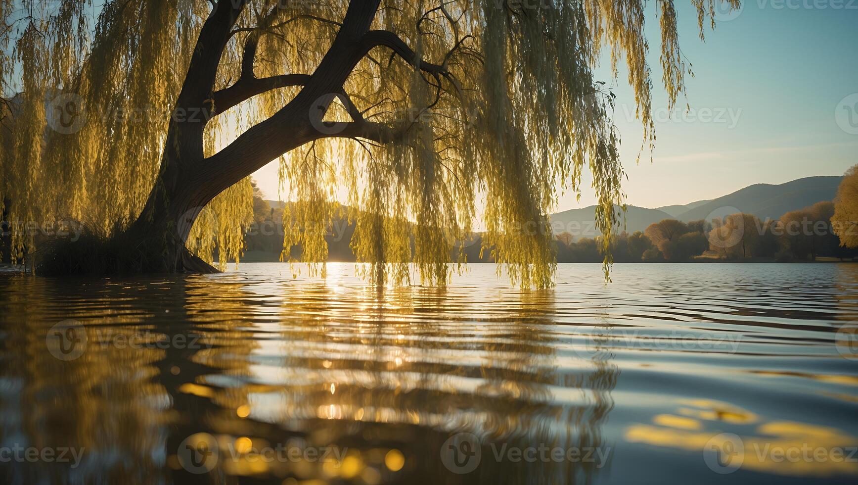 Willow Tree Reflected on Lake Water at Sunset with Golden Light photo