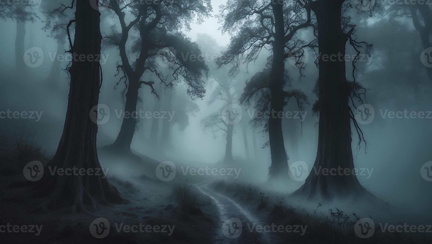Walking Path Through Foggy Forest with Tall Trees and Eerie Light photo
