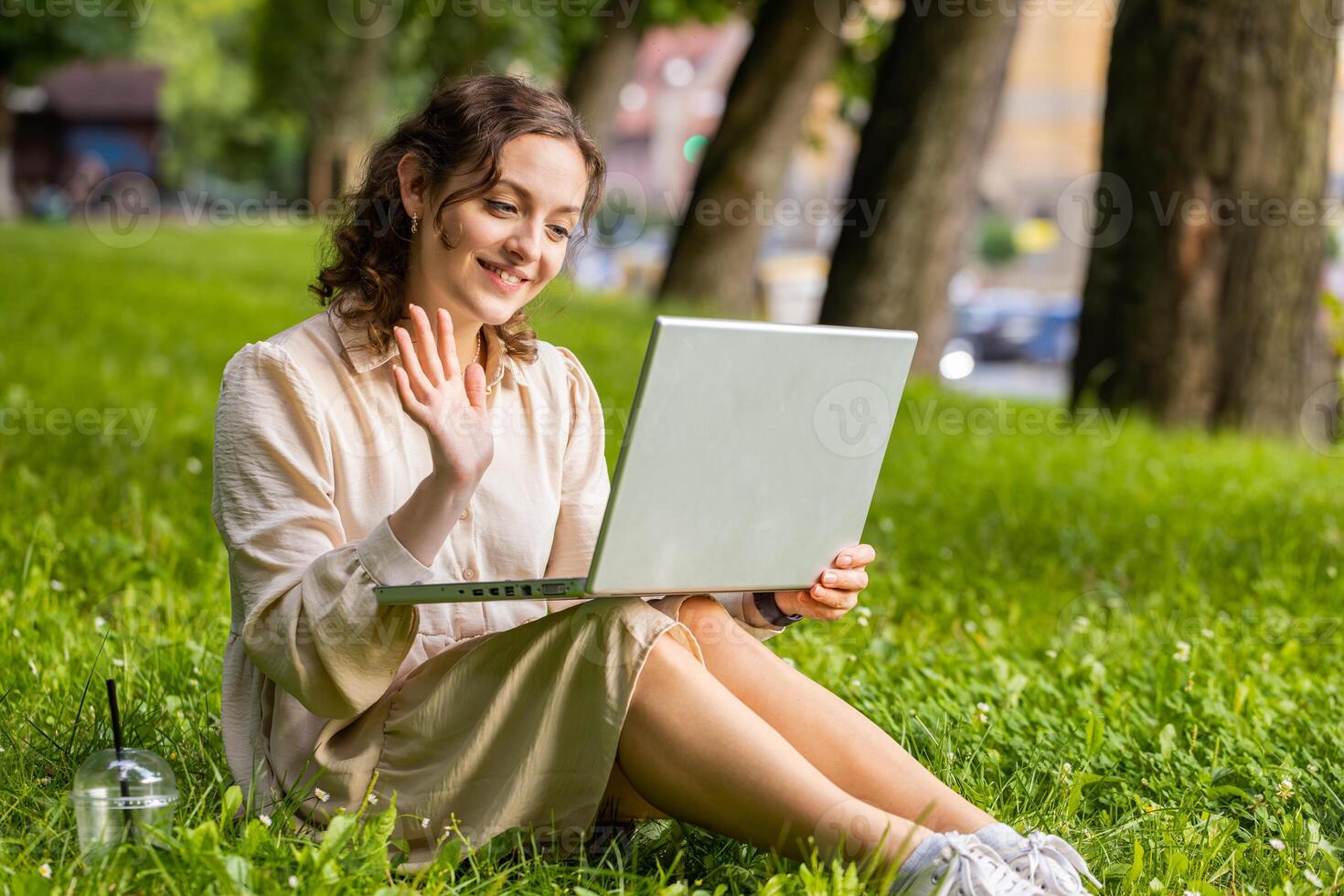 Woman making laptop webcam conference call with friends or family sitting on grass in park photo