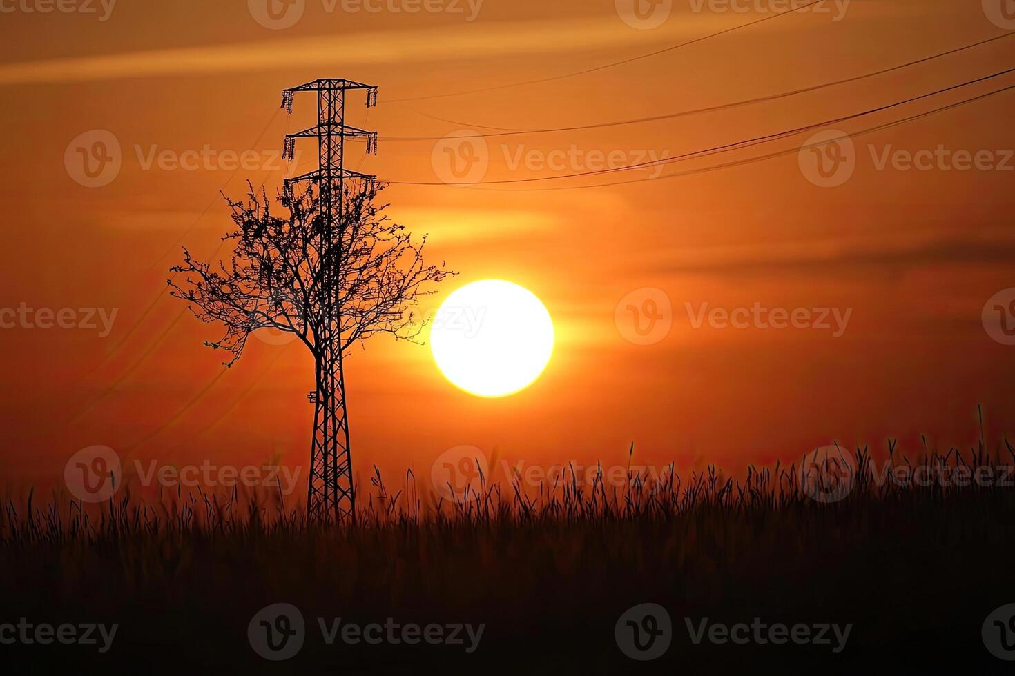 Sunset over power lines photo