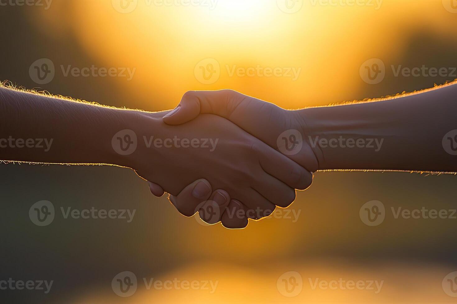 Two hands clasped in a handshake at sunset photo