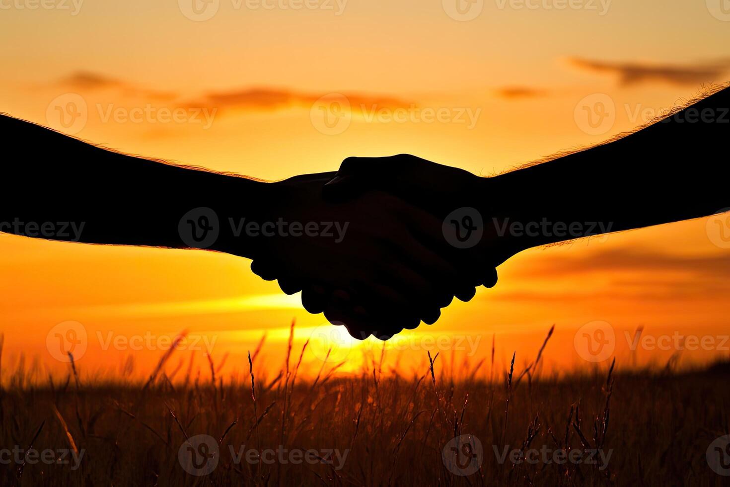 Silhouette handshake at sunset over a field photo