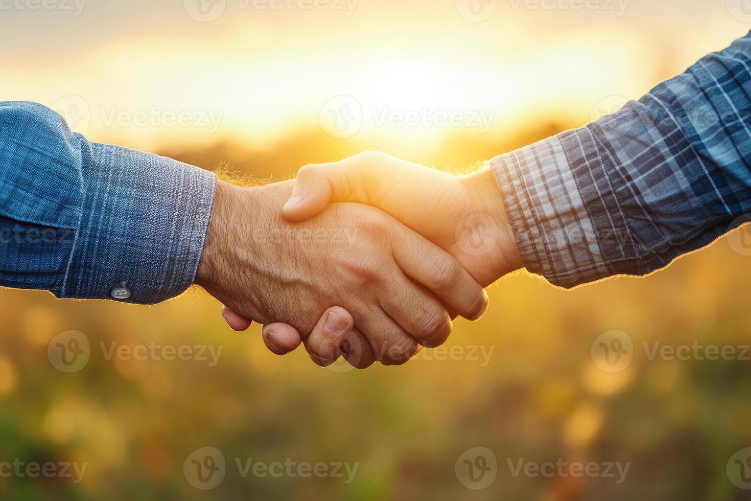 Two farmers shaking hands at sunset photo