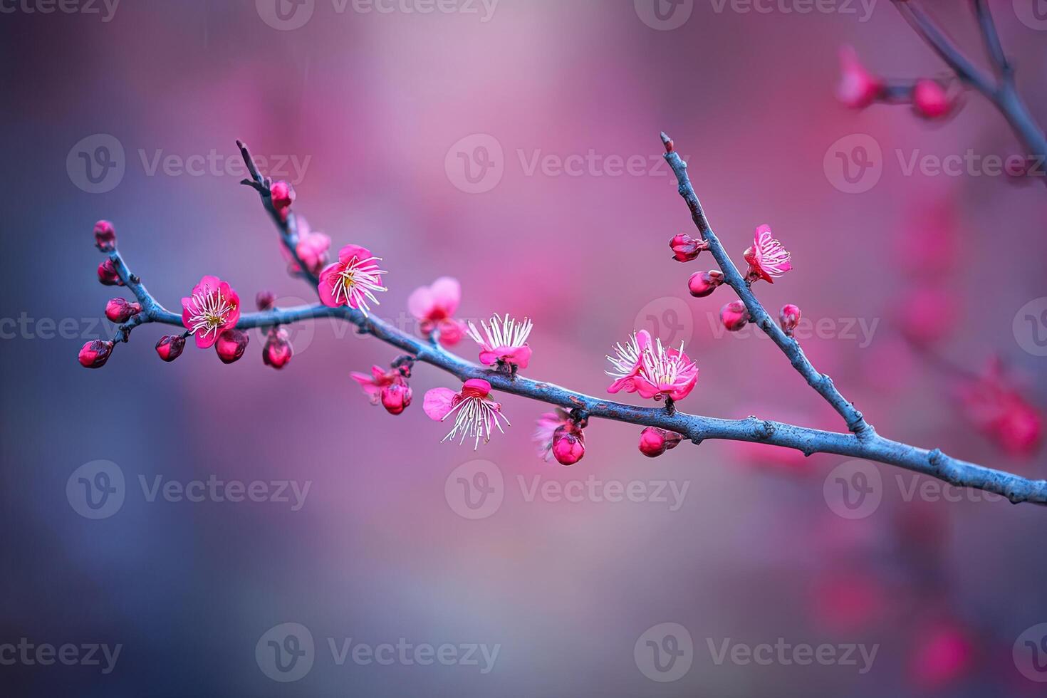 A branch of pink flowers with a blurred background photo