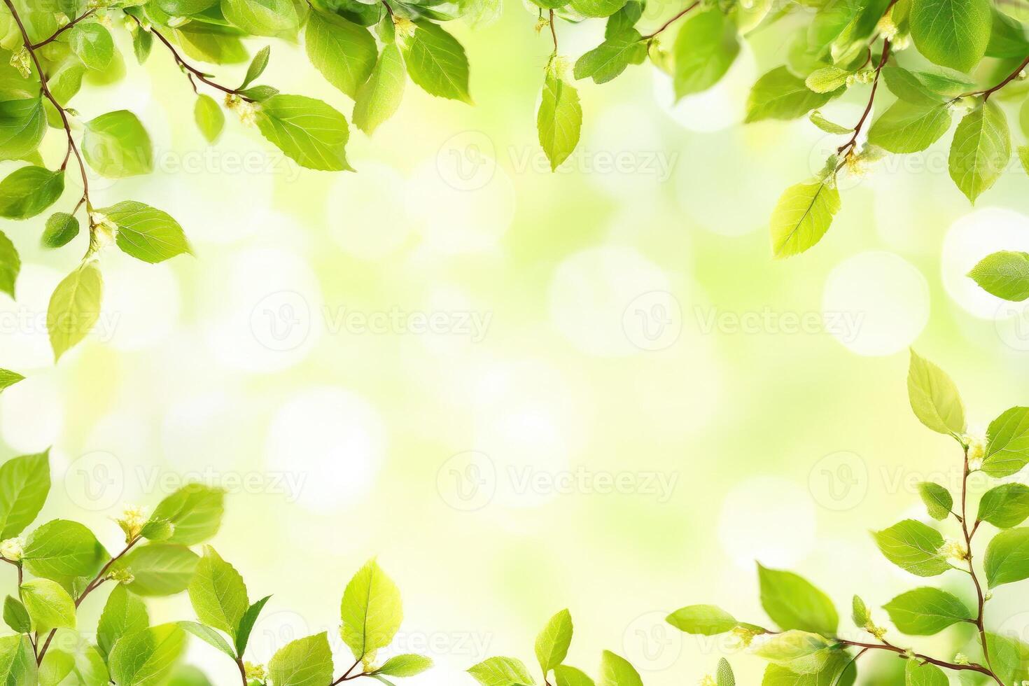 Fresh spring leaves frame soft green background photo