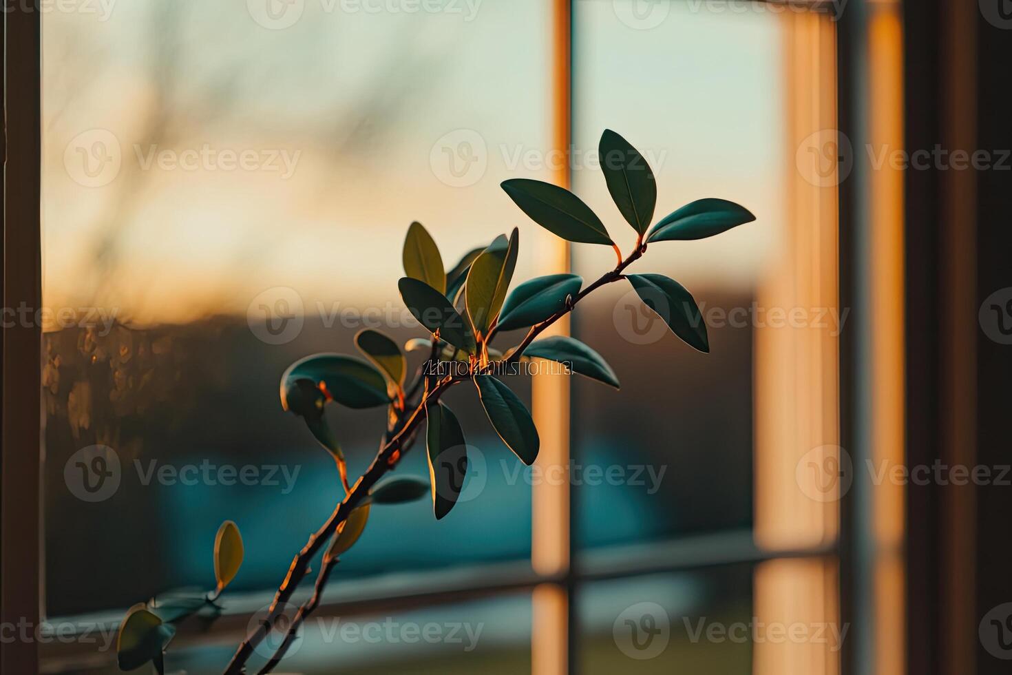 Sunlight streams through window, illuminating a small plant photo