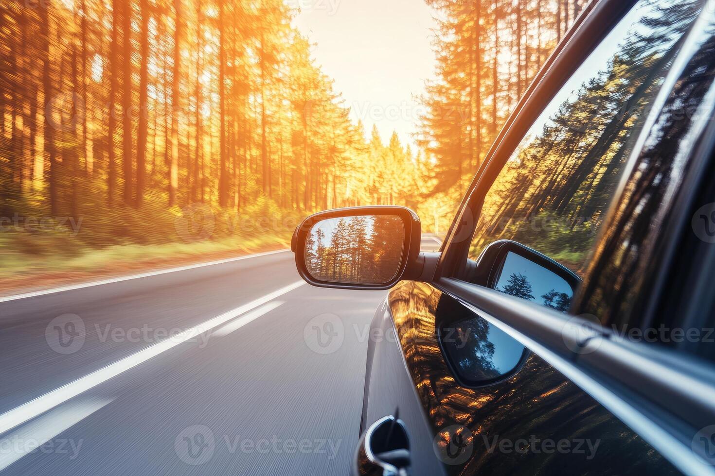 Forest road trip photo