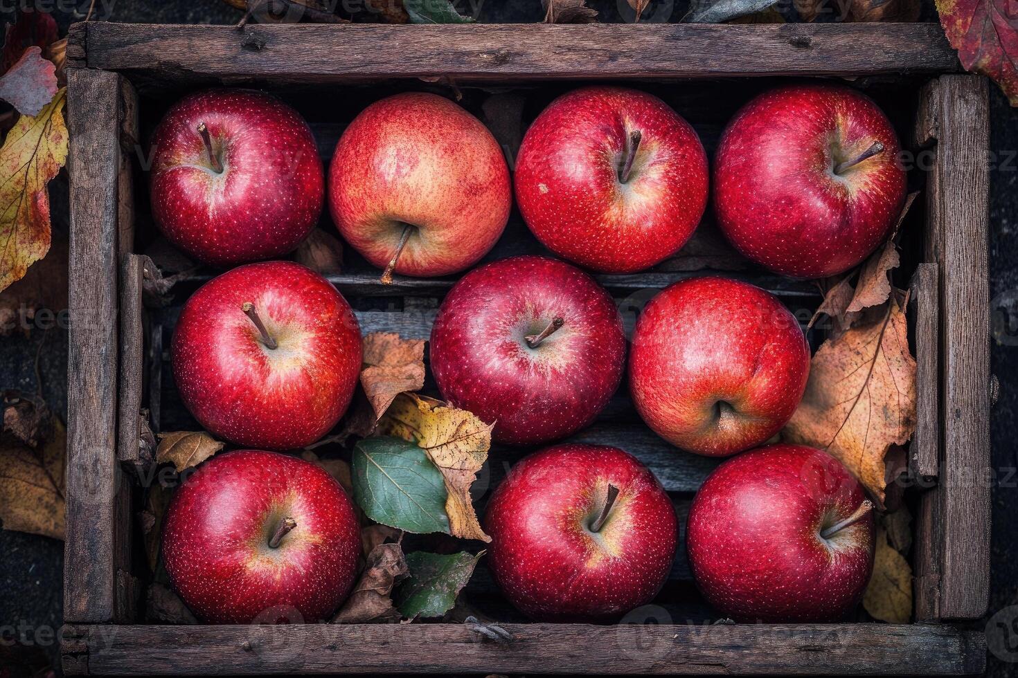 Fresh red apples in a wooden crate amongst autumn leaves photo