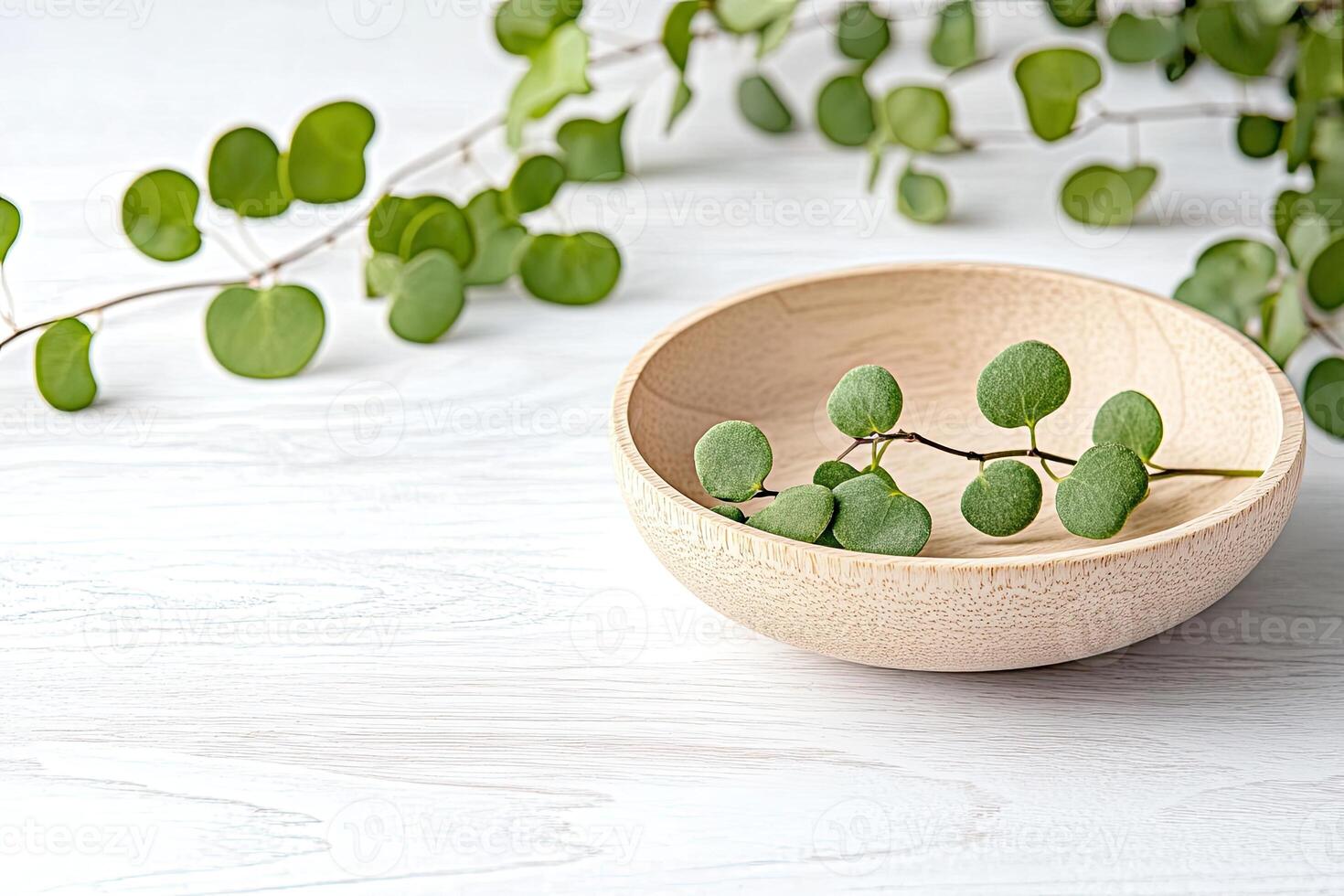 Natural eucalyptus sprigs in a wooden bowl on a white surface photo