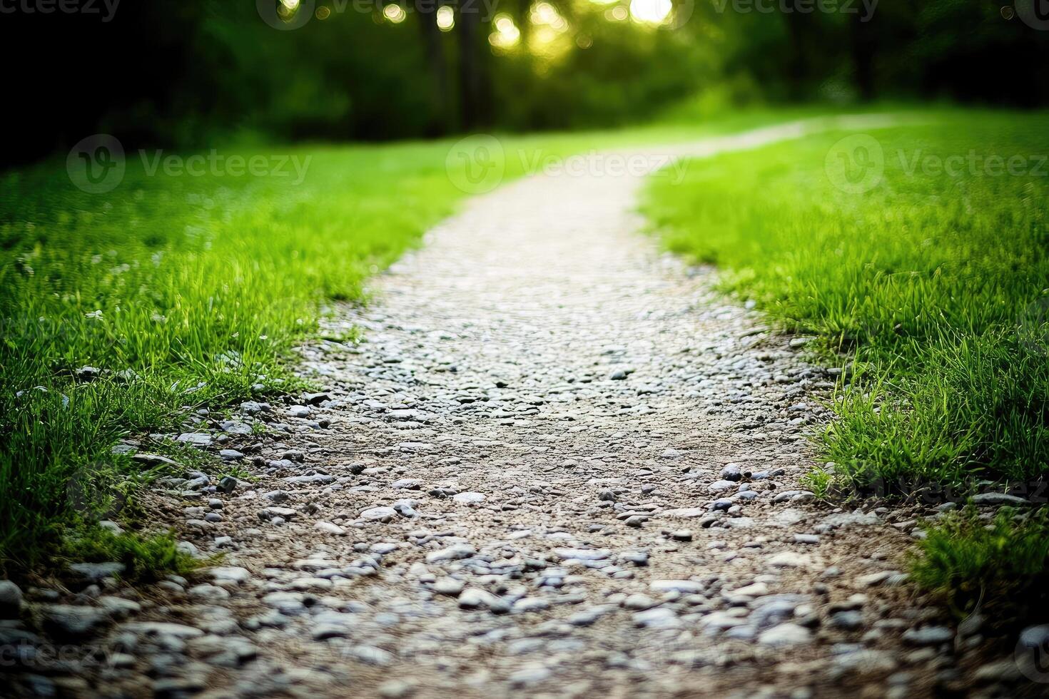 A gravel path winds through a lush green meadow photo