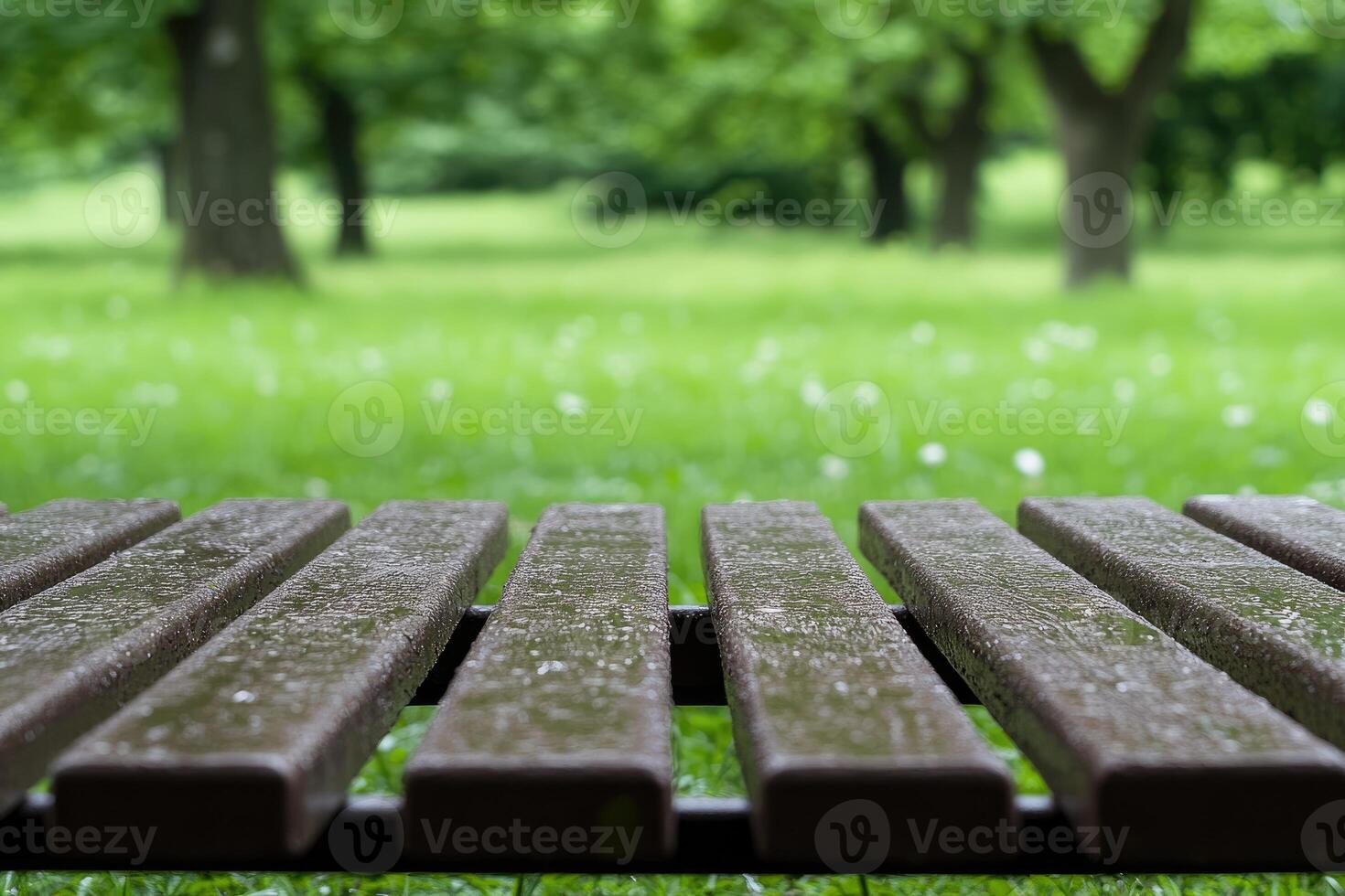 Park bench in a grassy area after rain photo