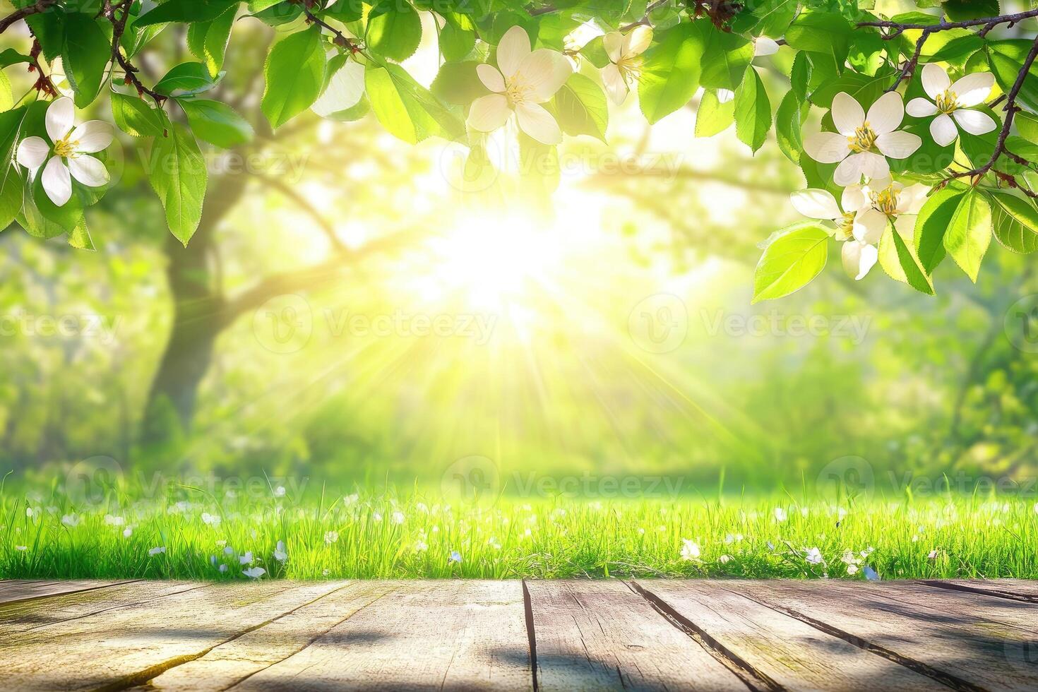 Spring blossoms and sunlight on a rustic wooden surface photo