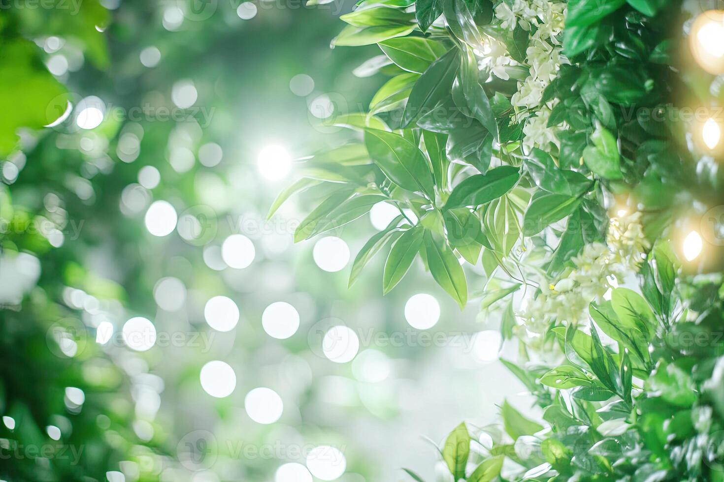 Lush greenery with soft sunlight photo