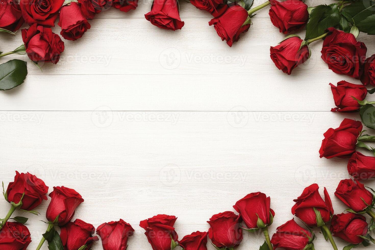 Red roses frame a white background photo