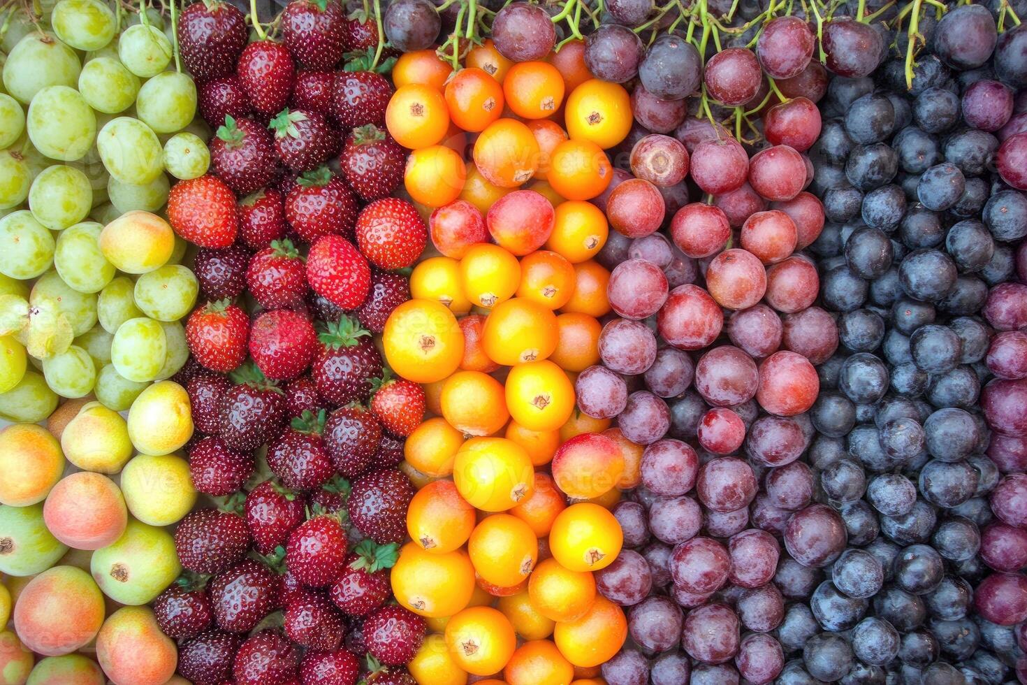 Colorful array of fresh fruits photo