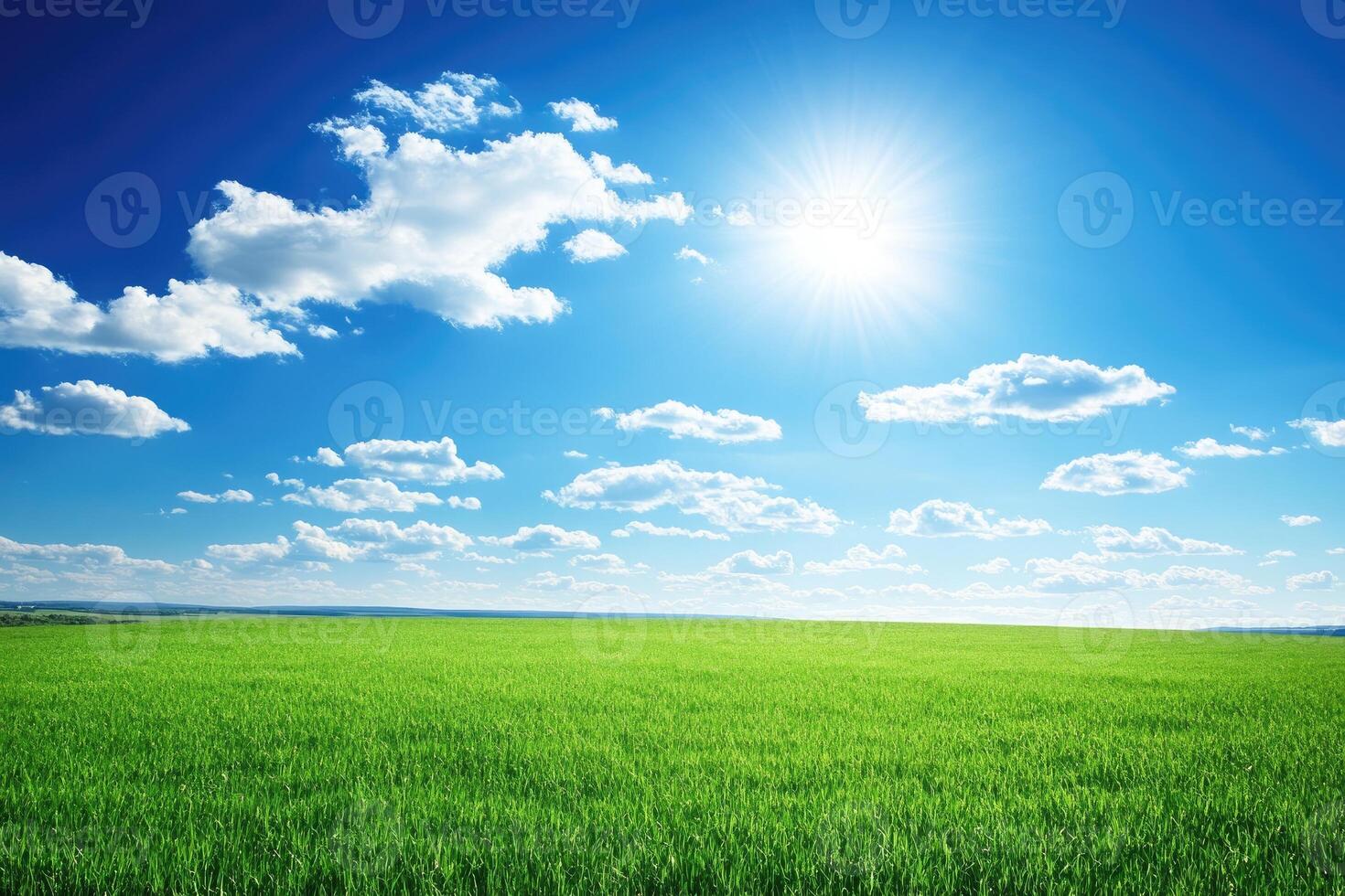 Vast, vibrant green field under a brilliant blue sky photo