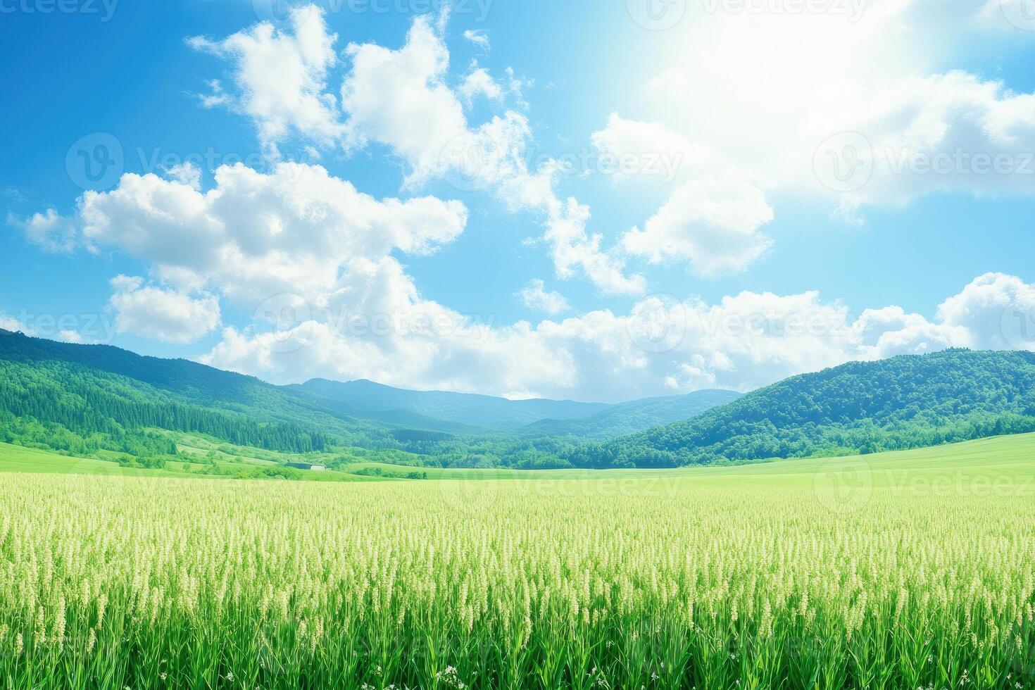 A field of green grass and mountains in the background photo