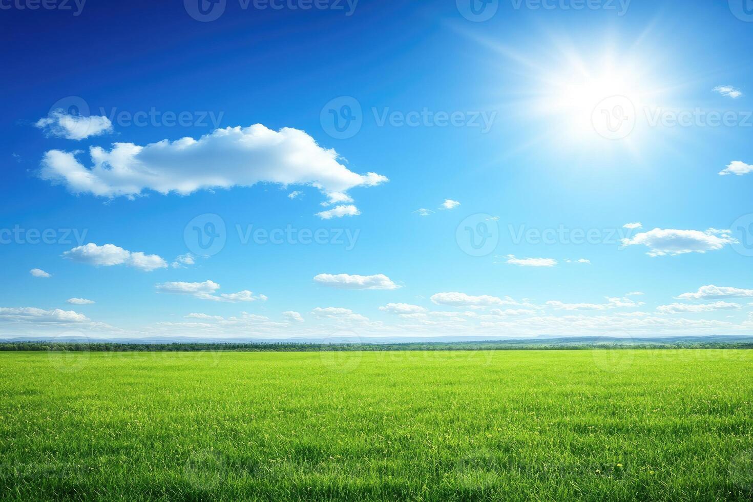 A green field with the sun shining over it photo