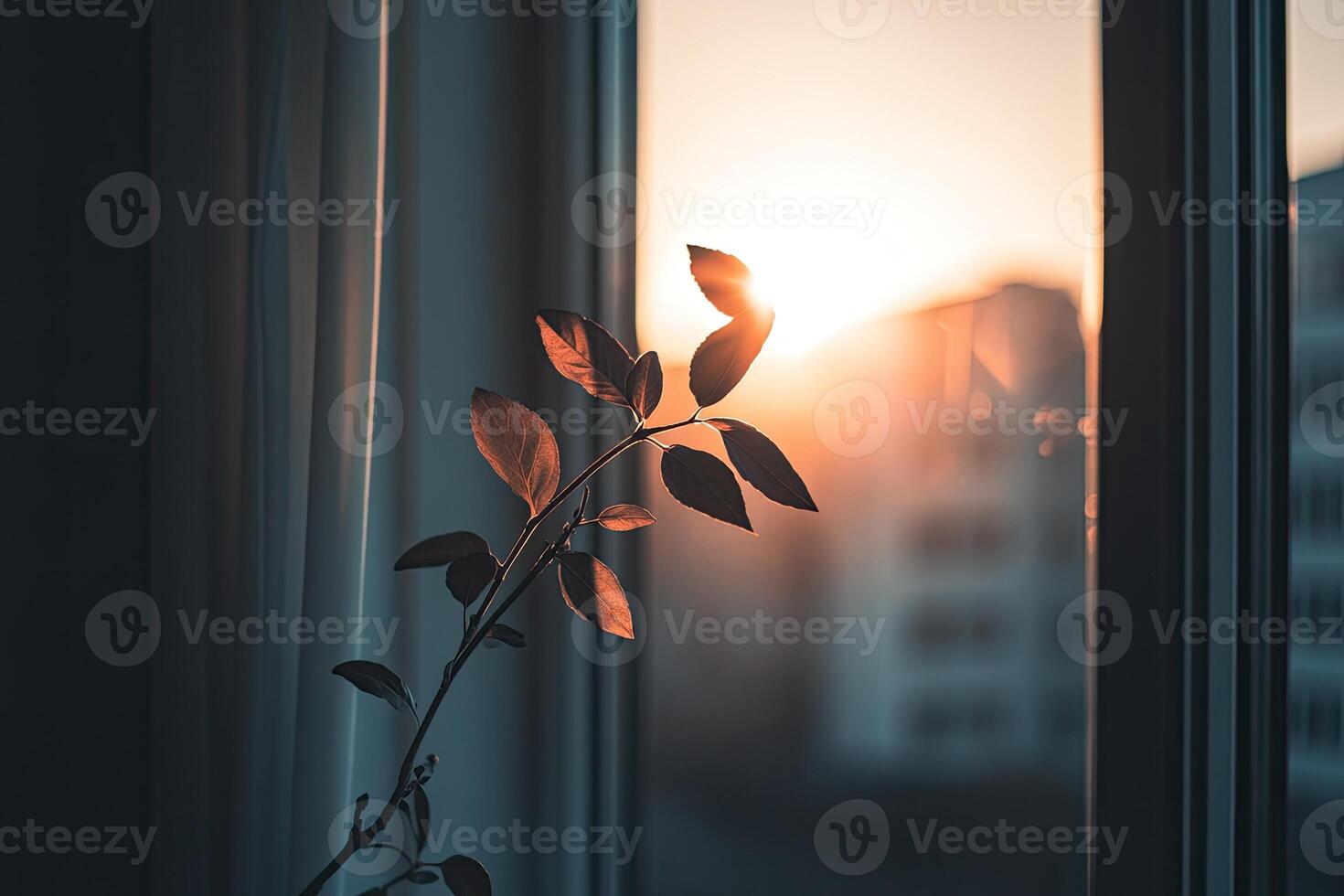 Golden Sunset through Window photo
