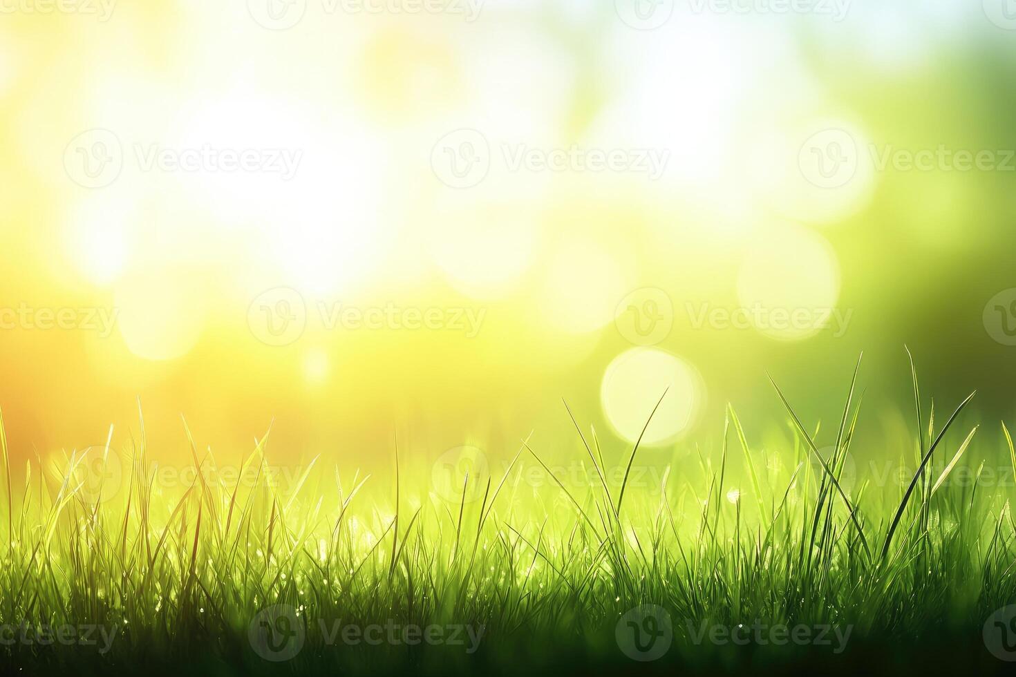Green grass with sunlight and bokeh effect photo