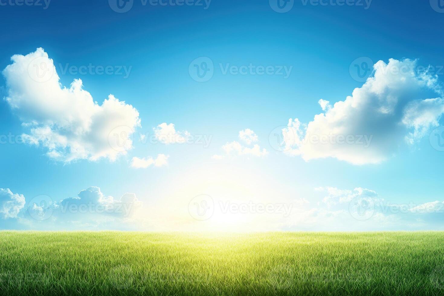 Sunrise over a grassy field photo