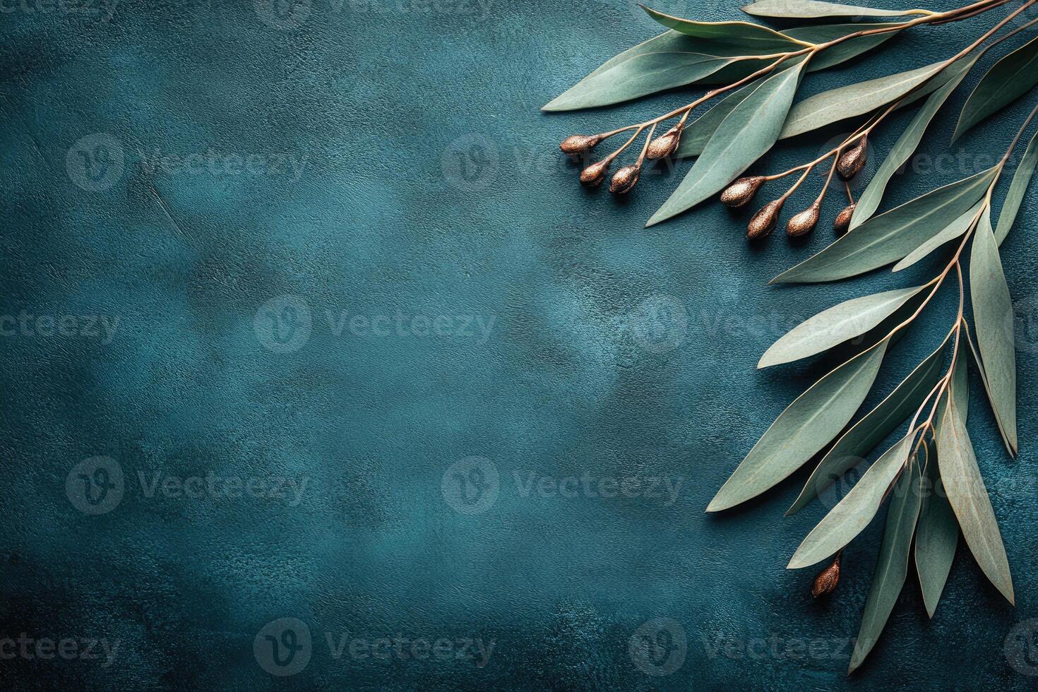 Textural dark teal background with eucalyptus sprigs photo