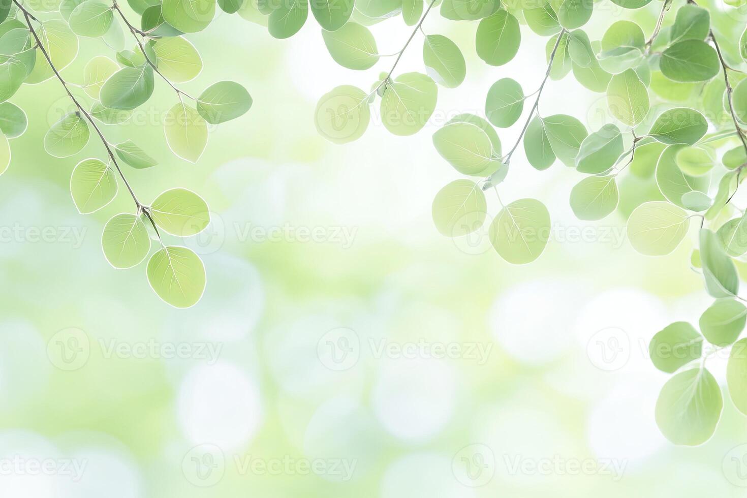 Fresh green leaves frame soft bokeh photo