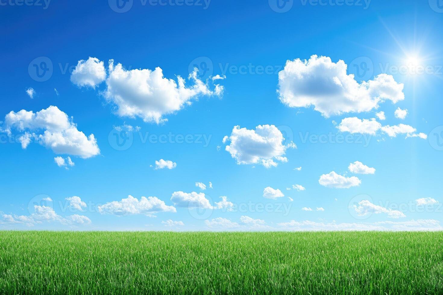 Vast field of grass under a vibrant sky photo