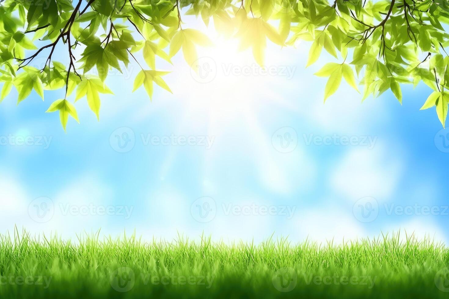 Fresh green grass under bright sunlight filtering through leaves photo
