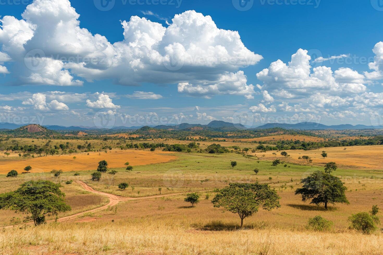 Vast African savanna landscape under a vibrant blue sky photo