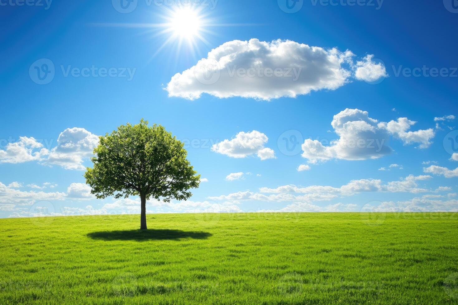 A solitary tree stands tall in a vibrant green meadow beneath a clear, sunny sky photo