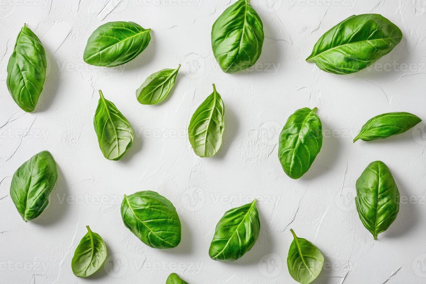 Fresh basil leaves scattered on a white textured surface. Arrangement of vibrant green basil leaves, various sizes and shapes, creating a decorative pattern on a light gray backdrop. Visual of fresh, healthy herbs photo