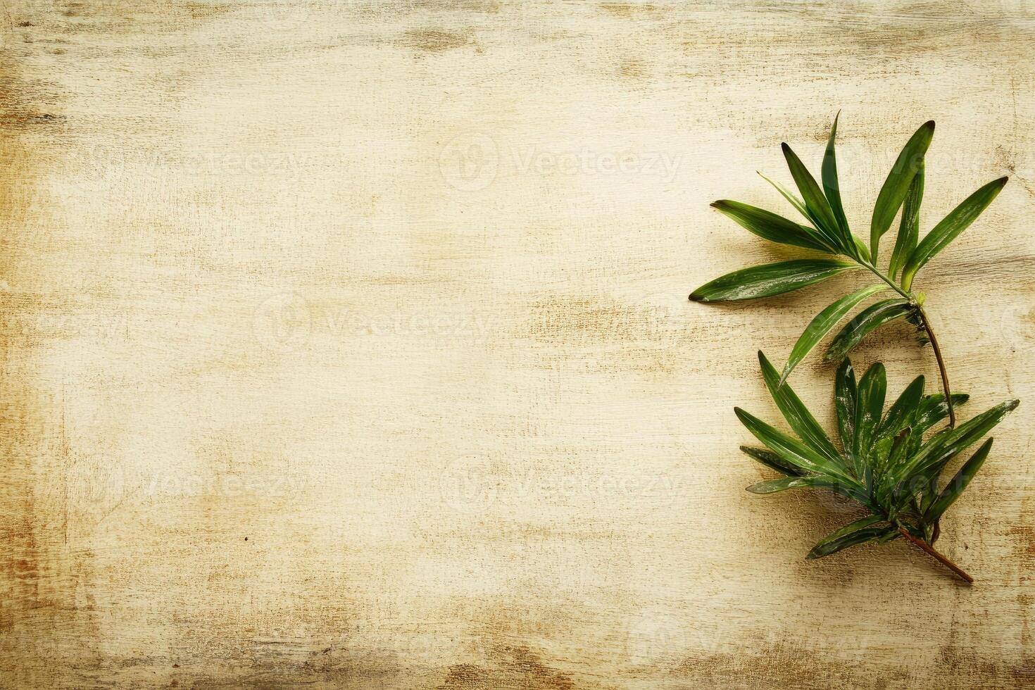 Light beige wooden surface with fresh greenery photo