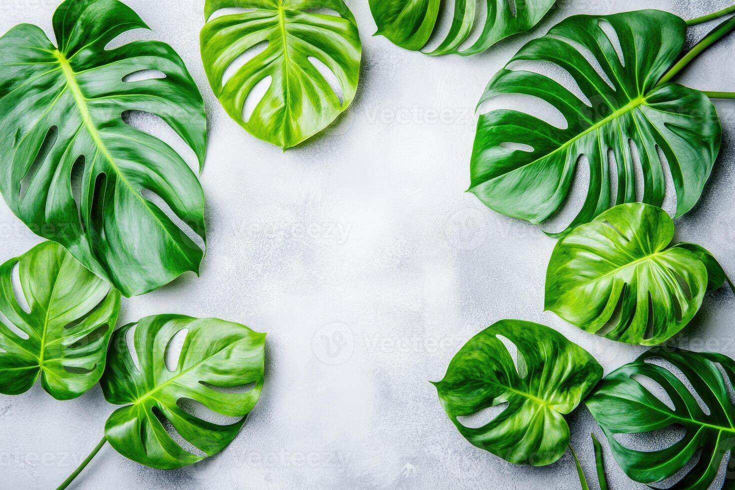 Fresh, vibrant tropical leaves arranged in a frame photo