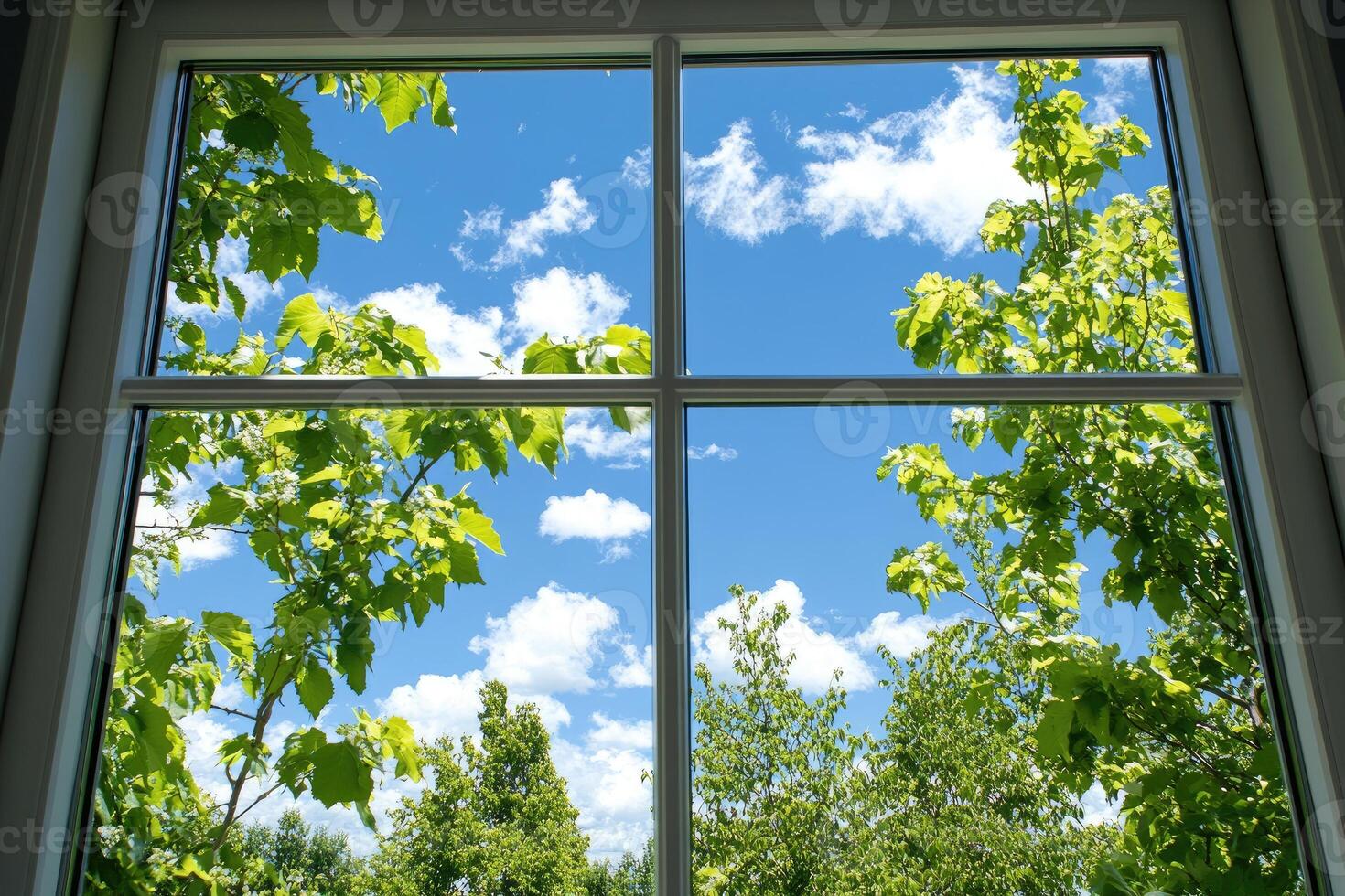 Summer view from a window photo