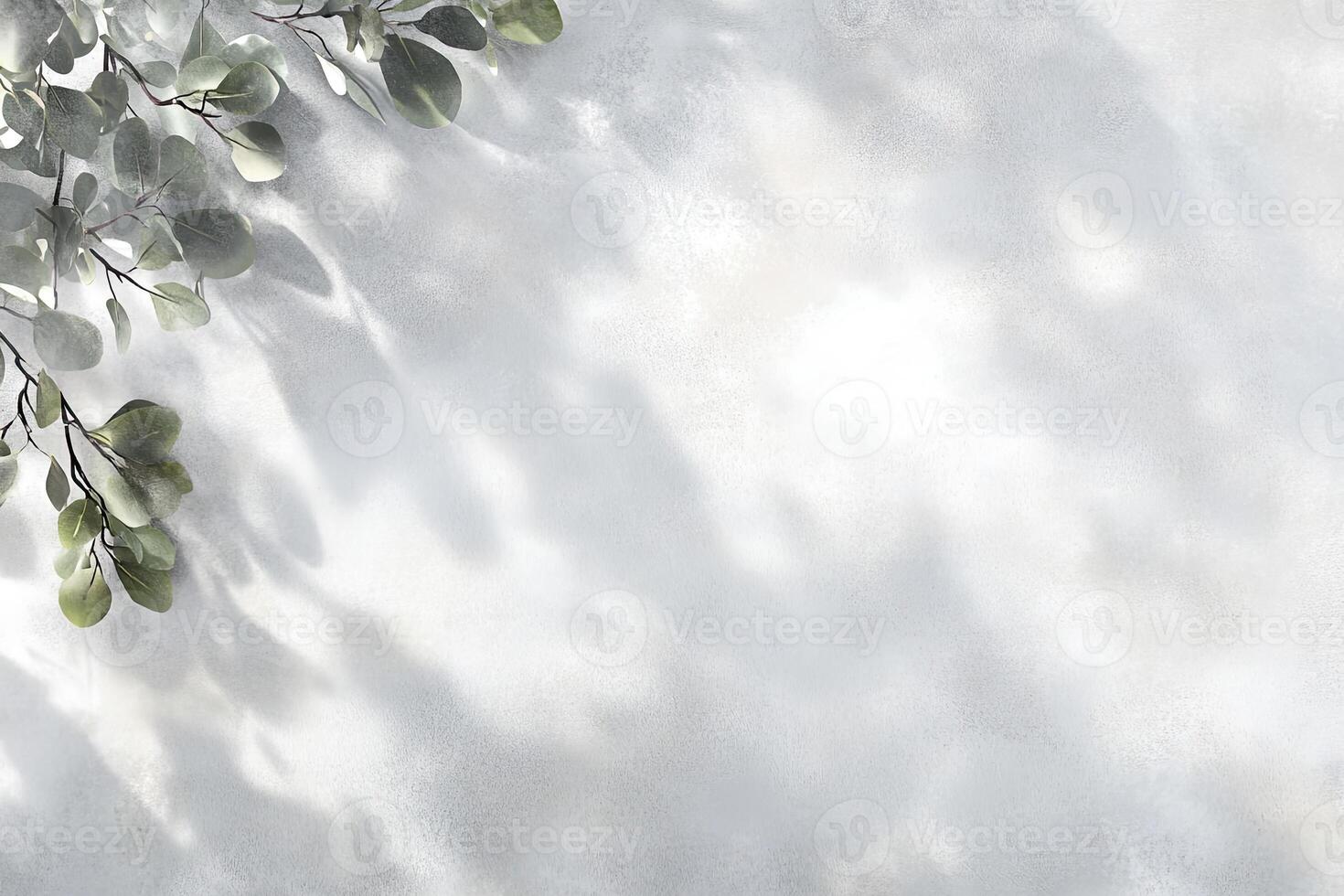 Light and Shadow on a Pale Wall with Greenery photo