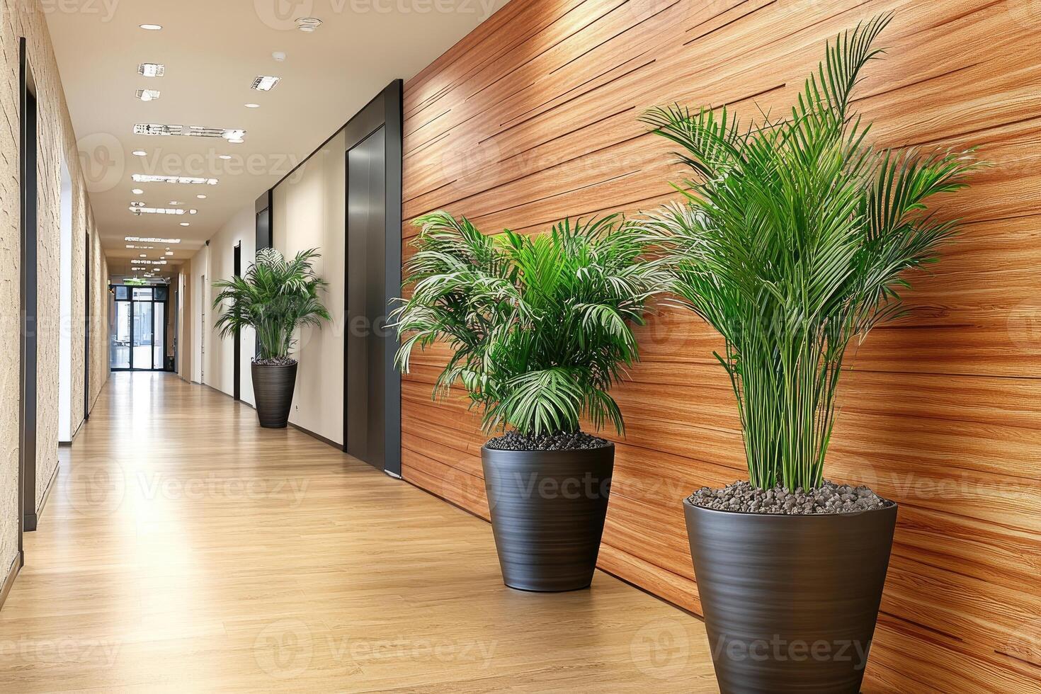Modern office hallway with wooden wall and plants photo