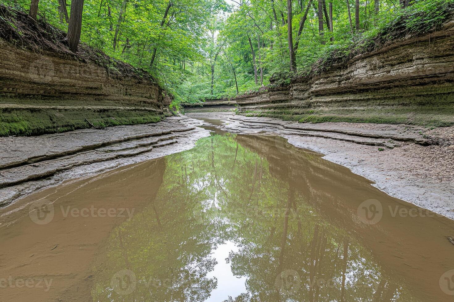 A tranquil creek meanders through a secluded, layered canyon. Lush green trees line the banks, reflecting in the still water photo