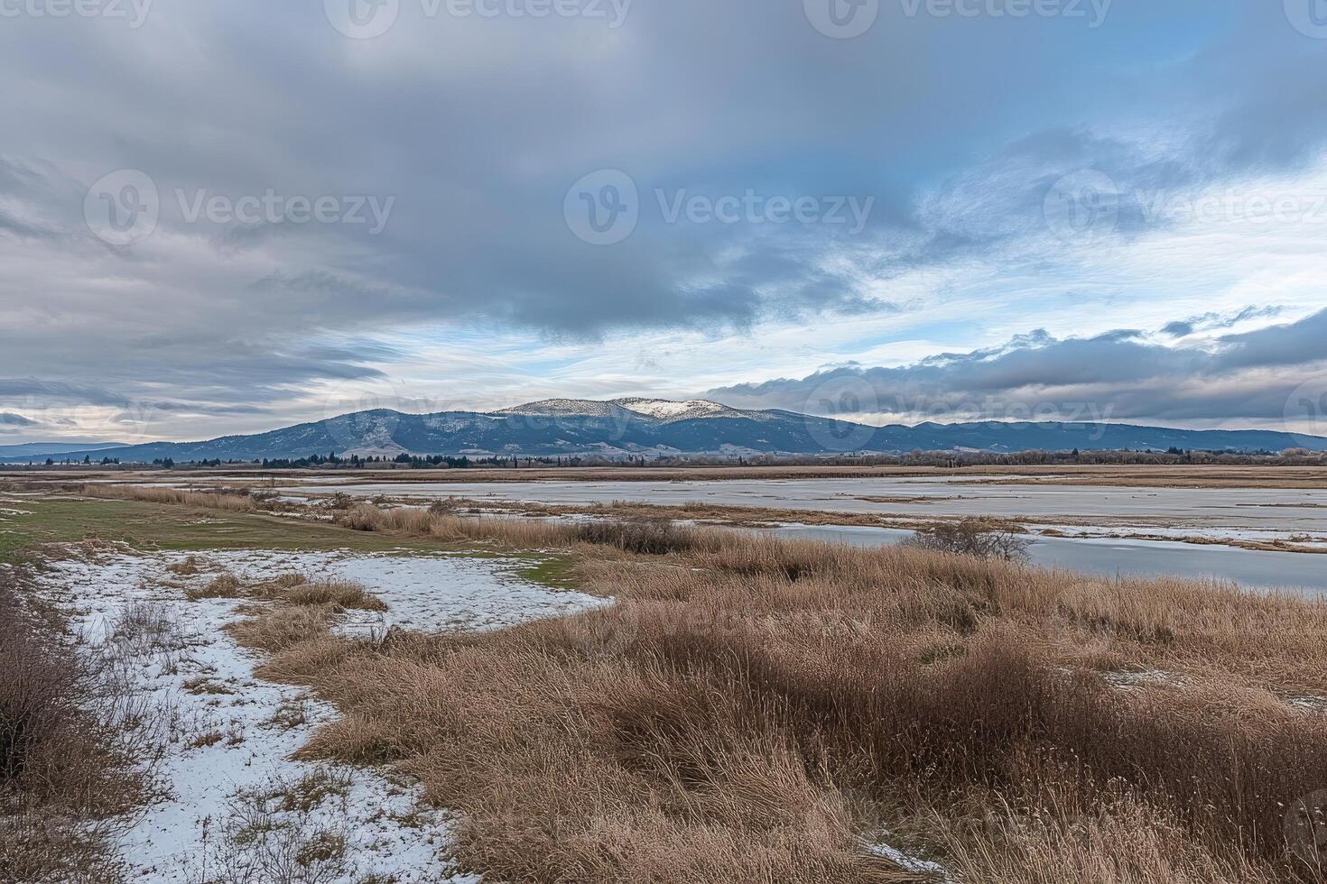 Winter landscape of a wetland with mountains in the background photo