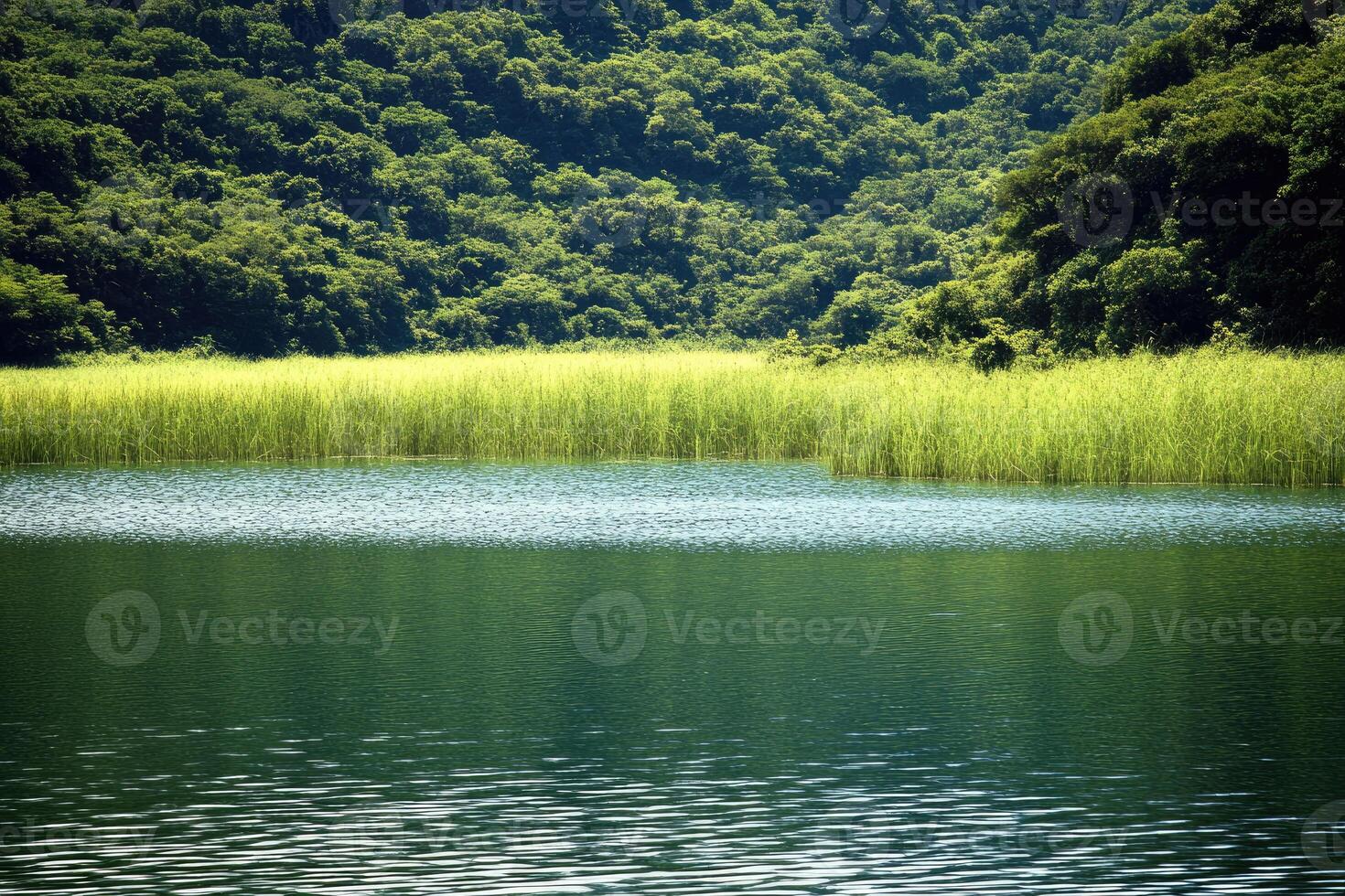 Serene lake nestled in lush greenery photo