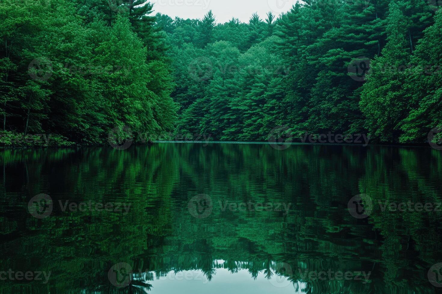 Serene forest lake mirroring lush greenery photo