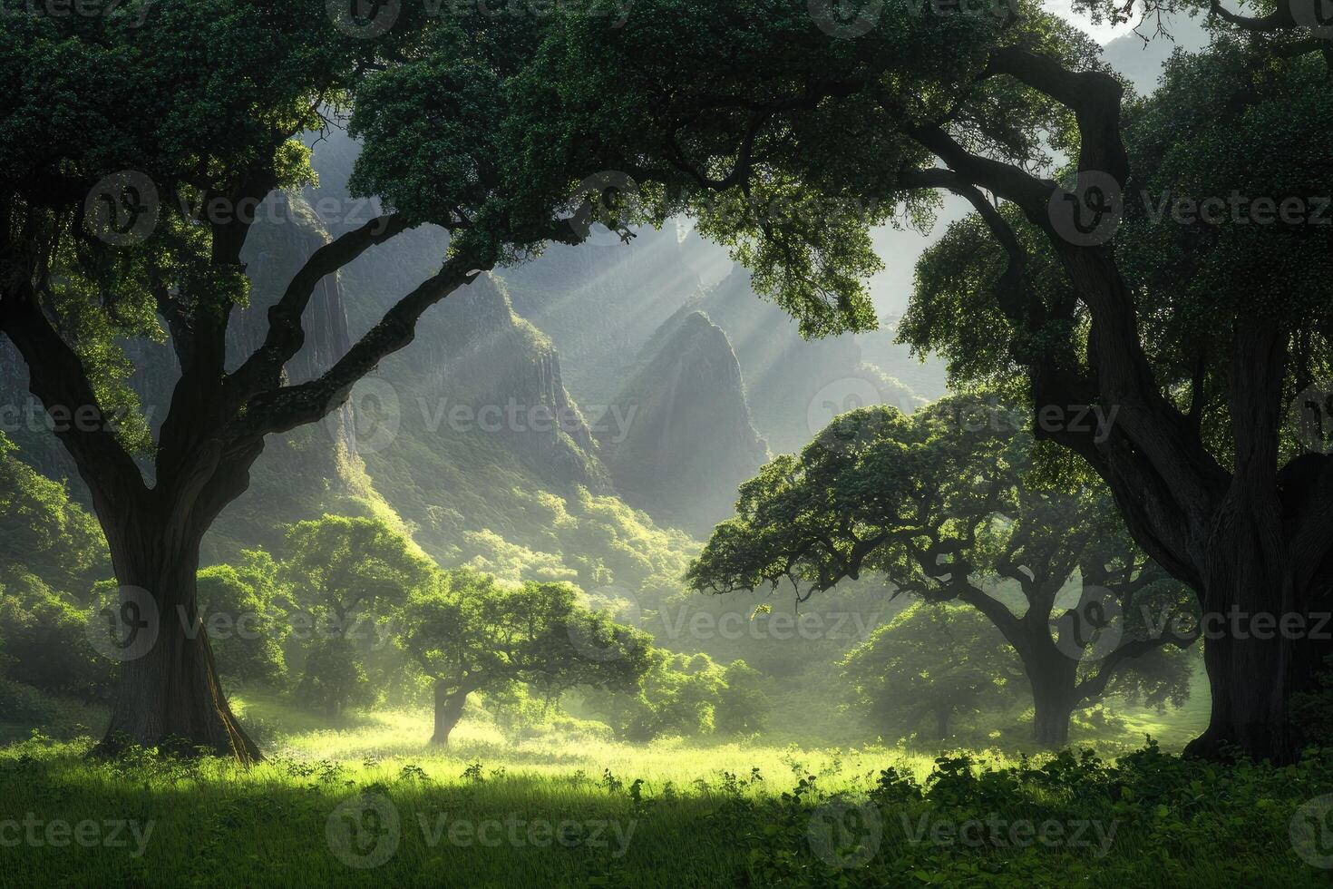 Lush valley bathed in sunlight photo
