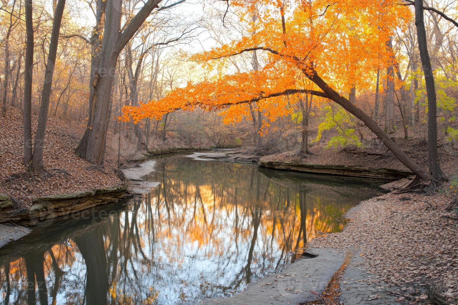 Autumnal creek scene with vibrant fall foliage. Tranquil waterway reflects the colorful trees photo