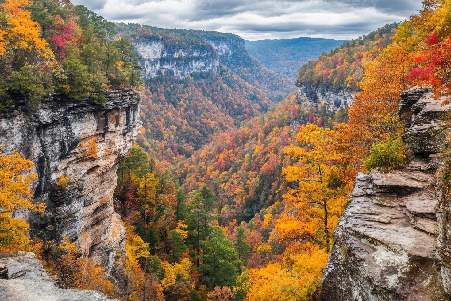 The view from the top of a cliff in autumn photo